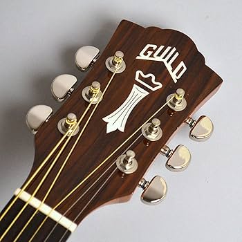 Amazon | Guild Guitars Guild D-120 NAT Dreadnought